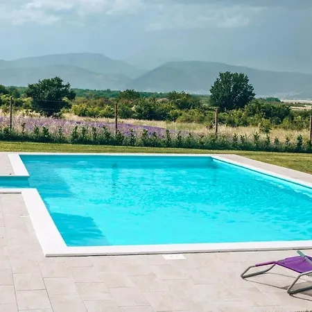 Lavender With Swimming Pool *